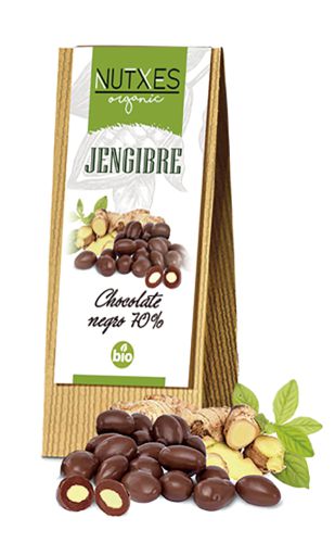 Jengibre chocolate negro eco 200g